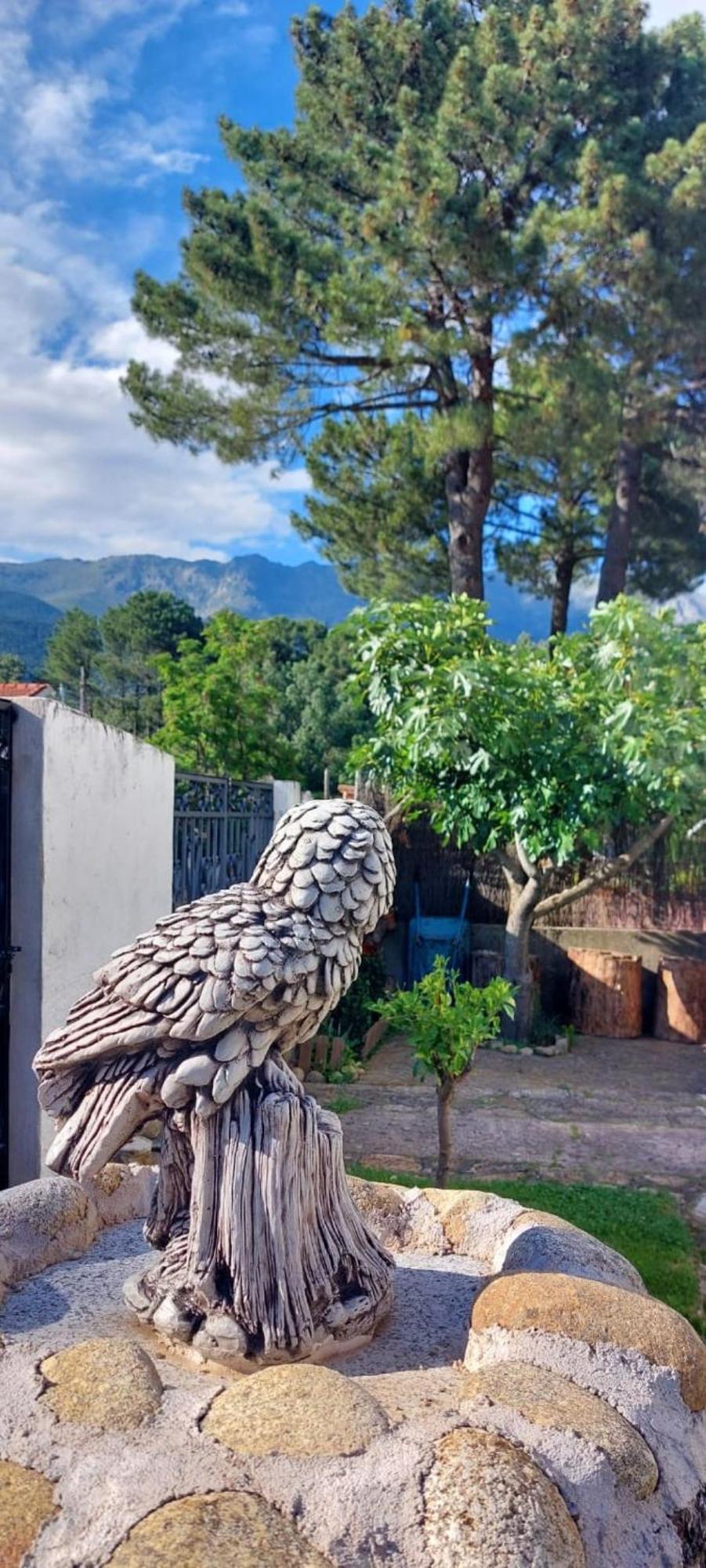 La Lechuza Blanca Villa Casavieja Bagian luar foto